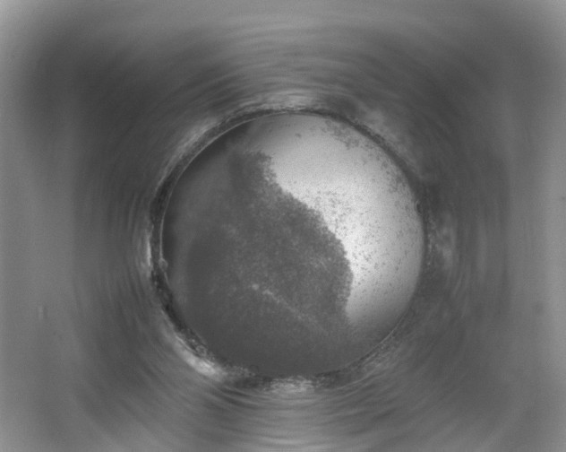 X0000067460110200604101143