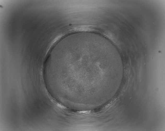 X0000067460111200604101143