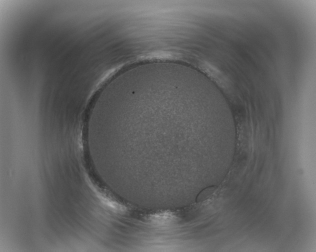 X0000067460112200604101143