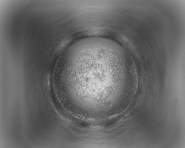 X0000067460115200604101143