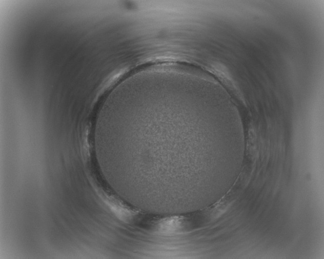 X0000067460116200604101143