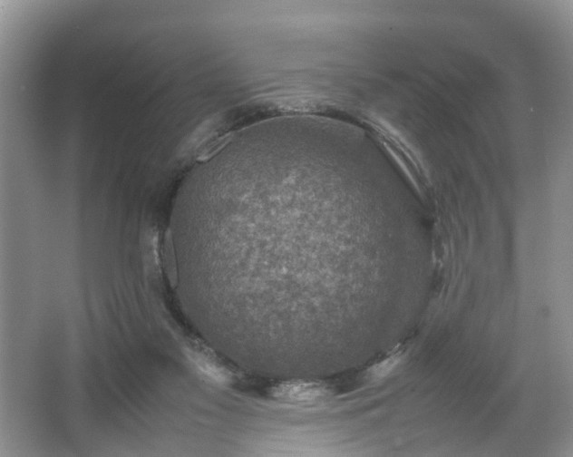 X0000067460117200604101143