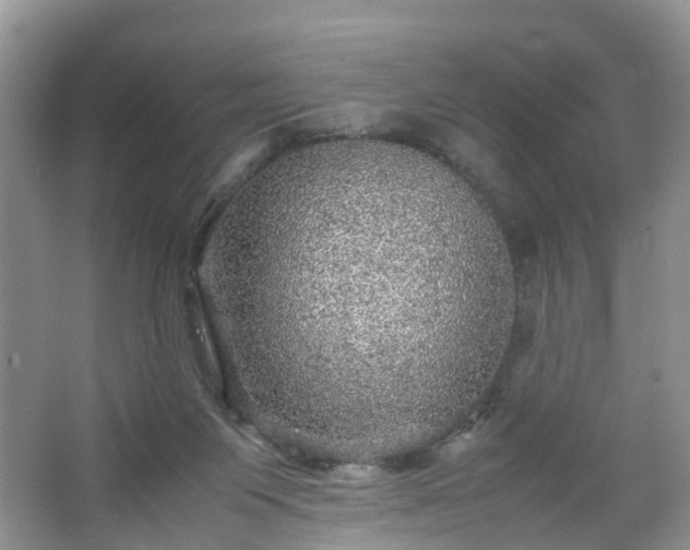 X0000067460119200604101143