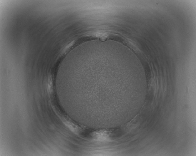 X0000067460120200604101143