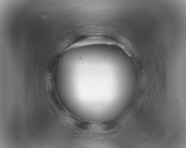 X0000067460121200604101143