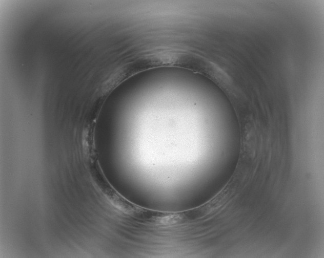 X0000067460122200604101143