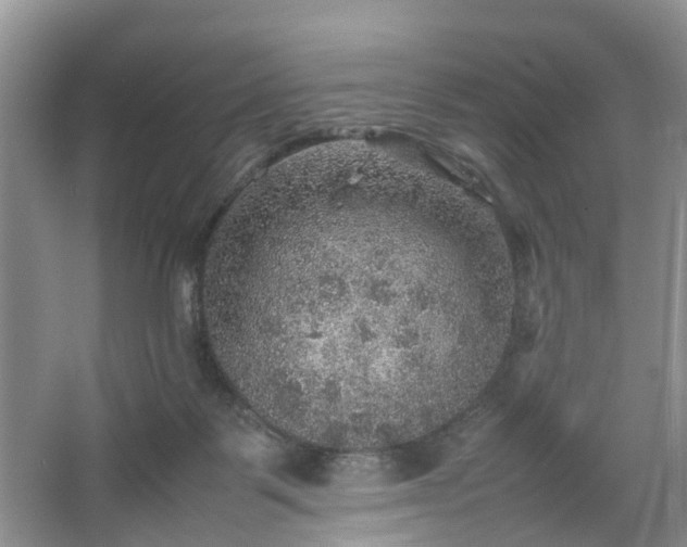 X0000067460123200604101143