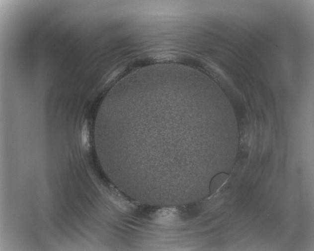 X0000067460124200604101143