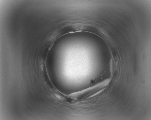 X0000067460125200604101143