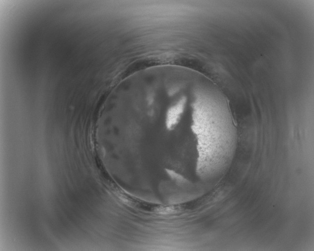 X0000067460131200604101143