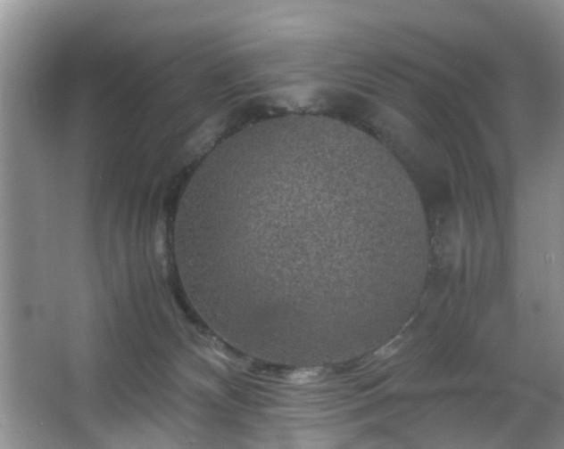 X0000067460132200604101143