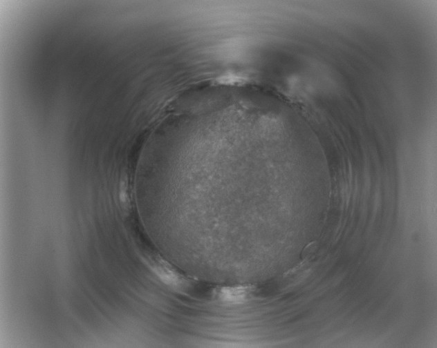 X0000067460134200604101143