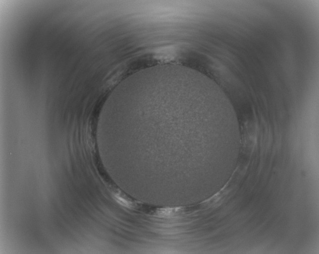 X0000067460136200604101143