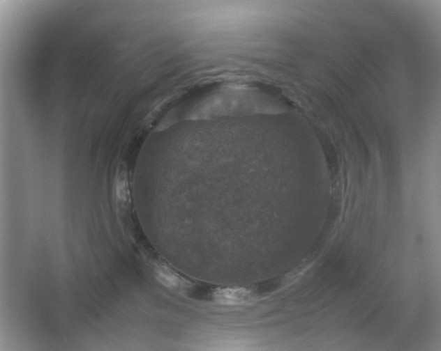 X0000067460137200604101143