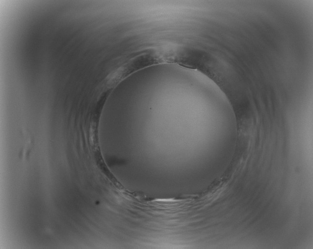 X0000067460139200604101143