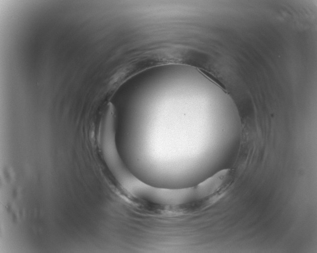 X0000067460141200604101142