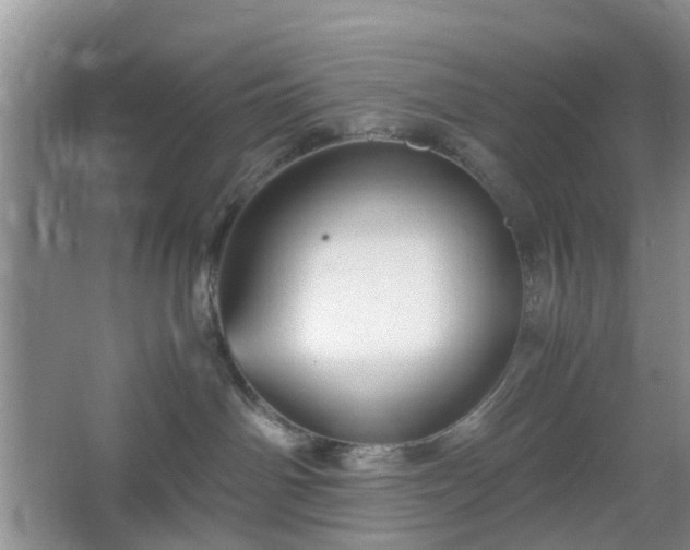 X0000067460142200604101142