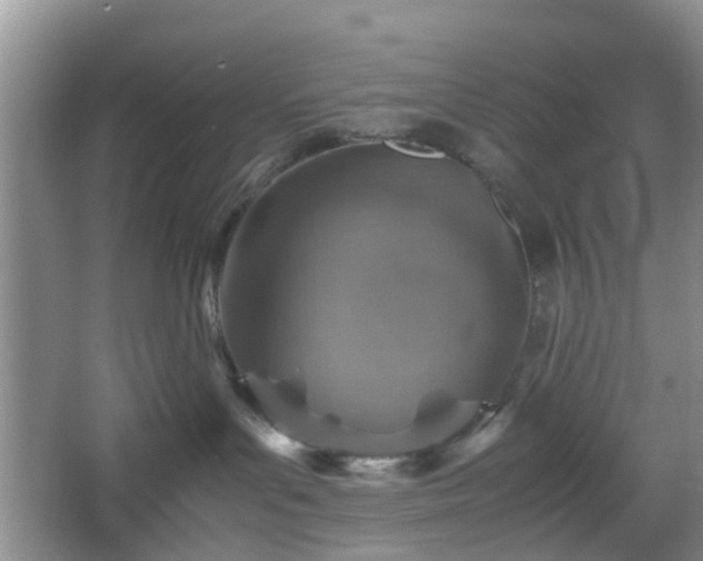 X0000067460143200604101142