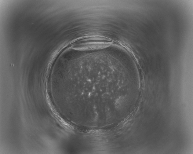 X0000067460145200604101142