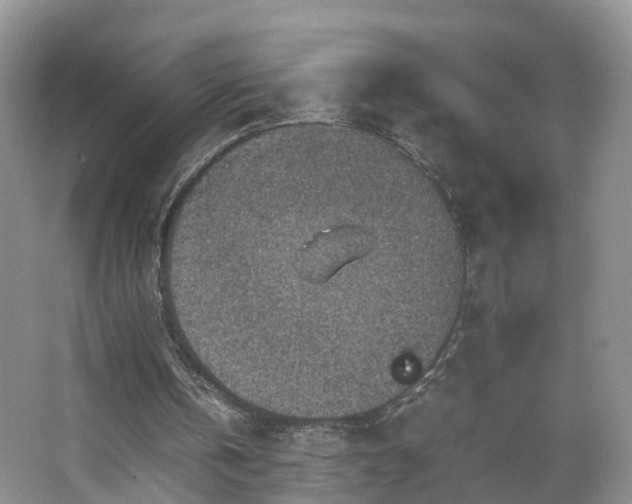 X0000067460146200604101142