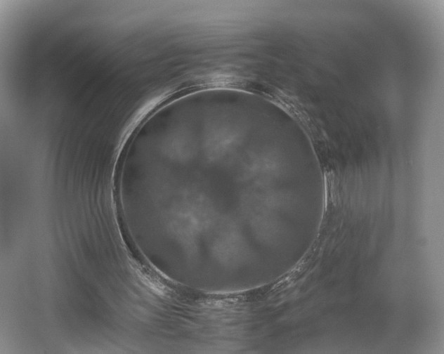 X0000067460147200604101142