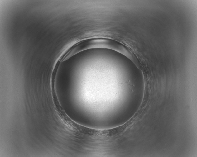 X0000067460148200604101142