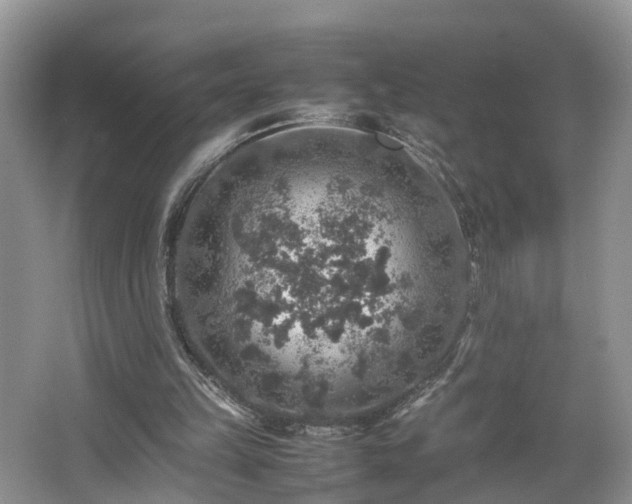 X0000067460149200604101142