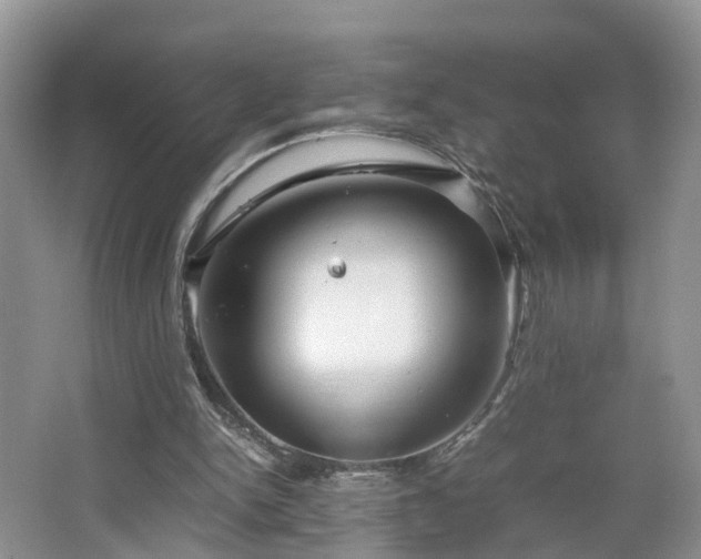 X0000067460150200604101142