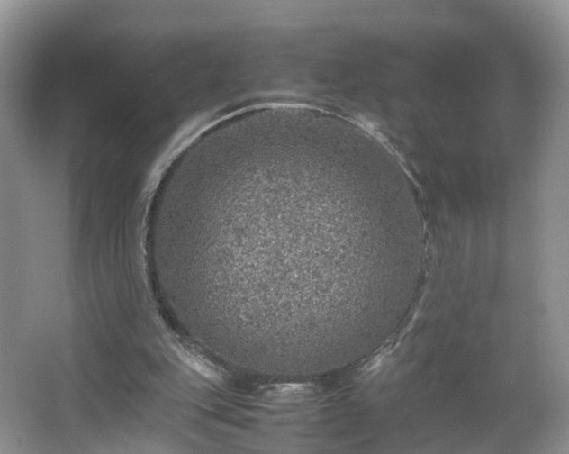 X0000067460151200604101142