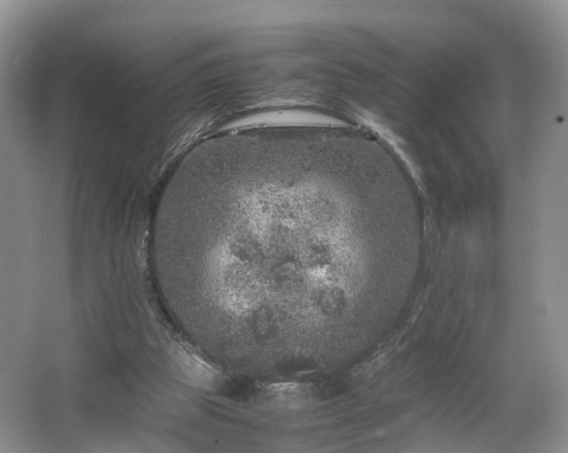 X0000067460153200604101142