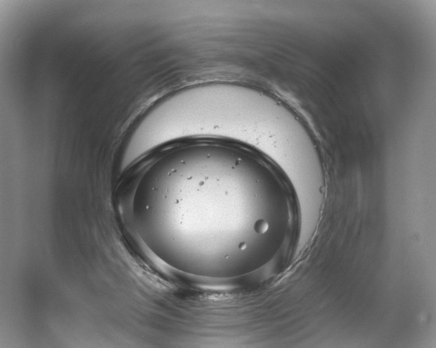 X0000067460154200604101142