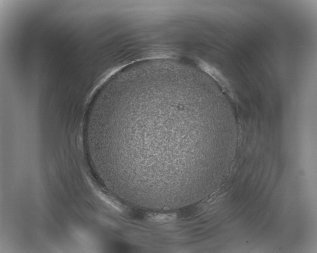 X0000067460155200604101142