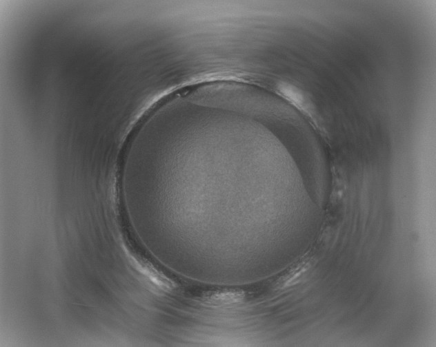 X0000067460156200604101142