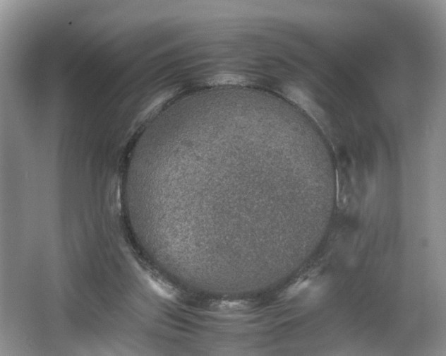 X0000067460157200604101142