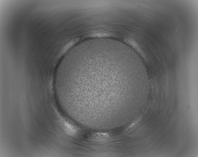 X0000067460159200604101142