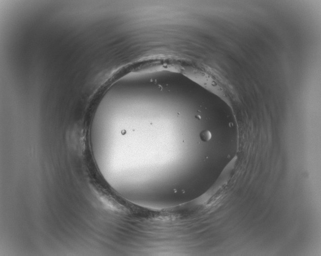 X0000067460160200604101142