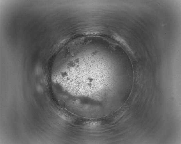 X0000067460161200604101142