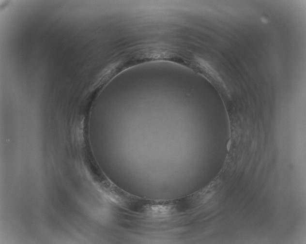 X0000067460163200604101142