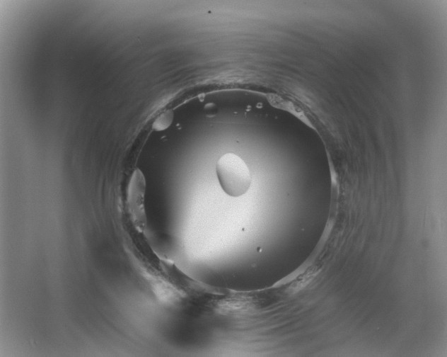 X0000067460164200604101142