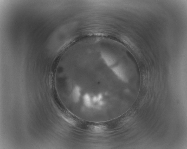 X0000067460165200604101142