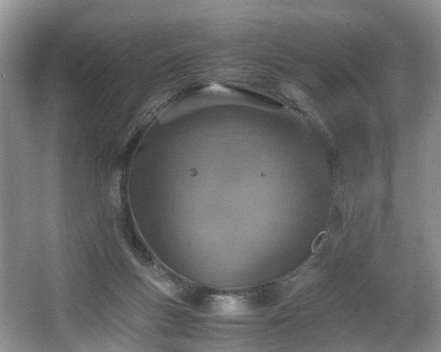 X0000067460167200604101142