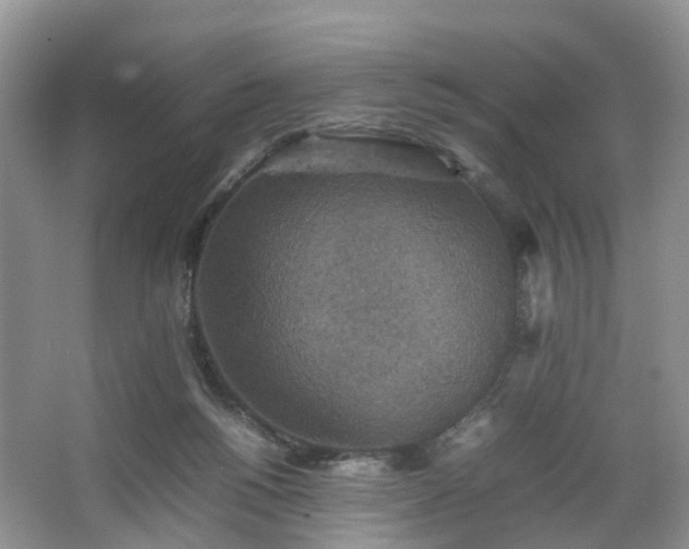 X0000067460168200604101142