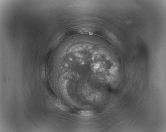 X0000067460169200604101142