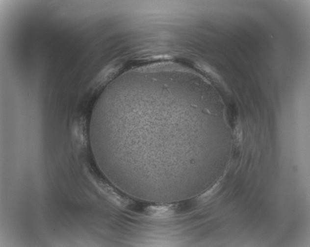 X0000067460170200604101142