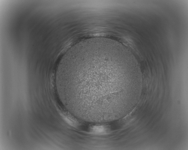 X0000067460171200604101142