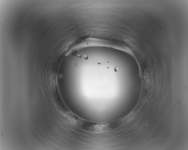 X0000067460172200604101142