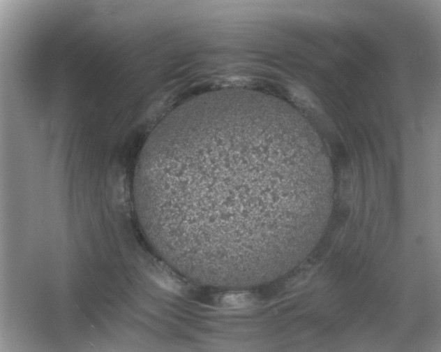 X0000067460173200604101142