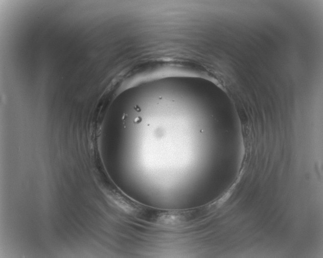 X0000067460174200604101142