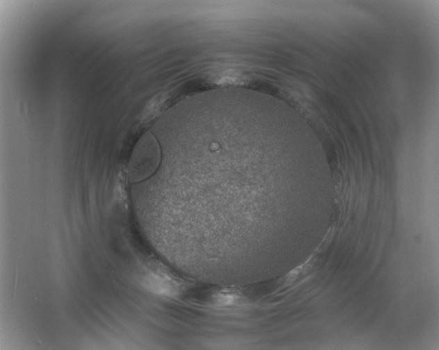 X0000067460175200604101142