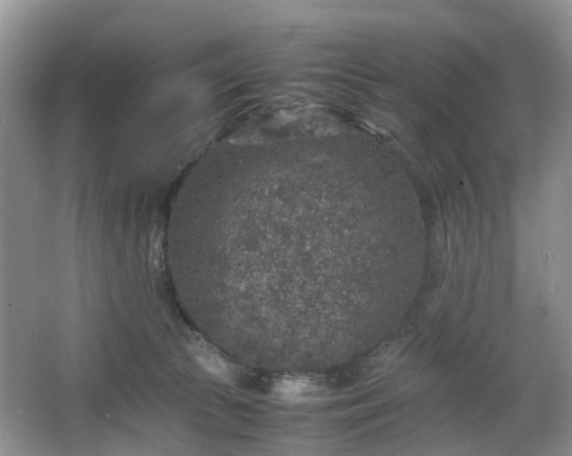 X0000067460177200604101142